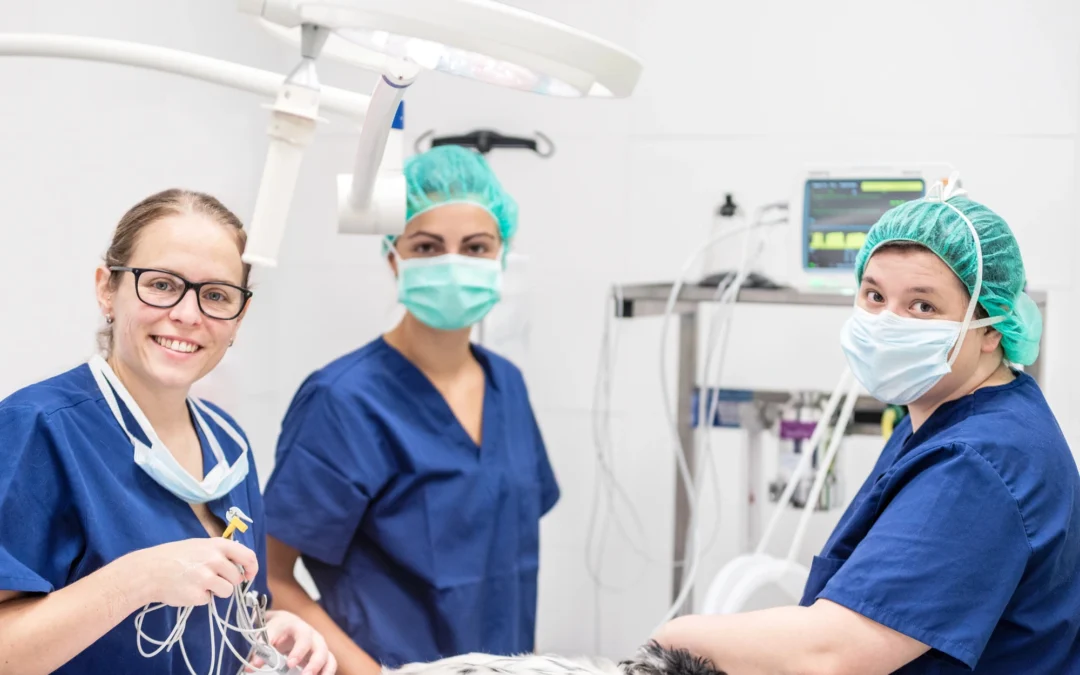 How to Prepare Your Veterinary Practice for Sale Without Disrupting Your Team