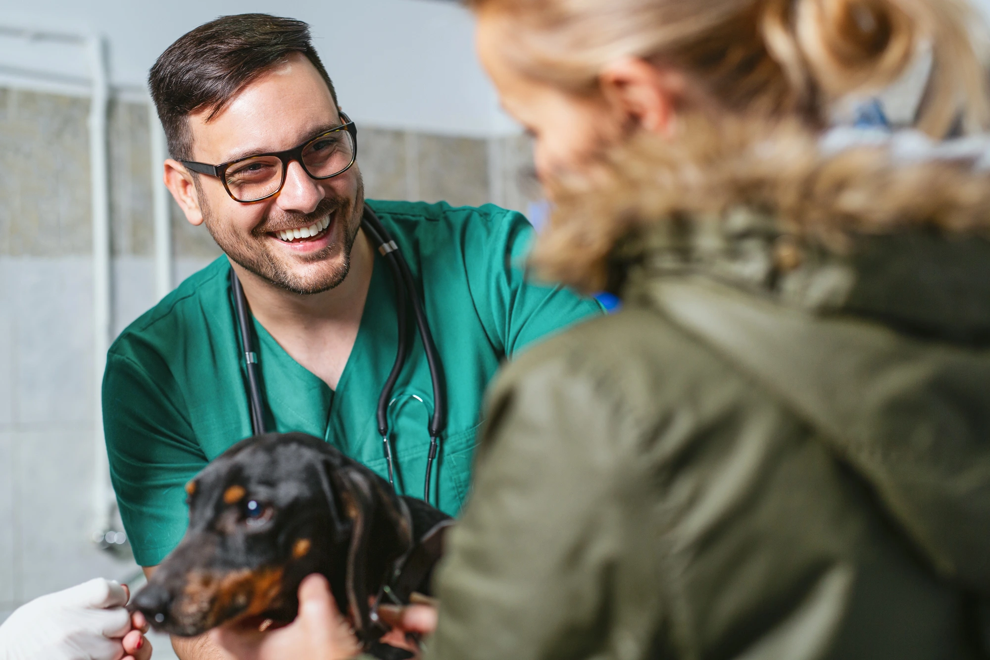 vet-taking-care-of-animal-after-talking-to-veterinary-practice-consultants