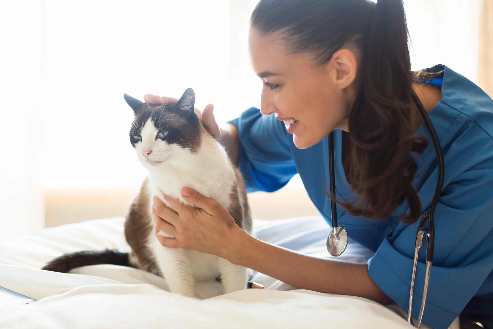 happy-vet-after-learning-about-veterinary-practice-management