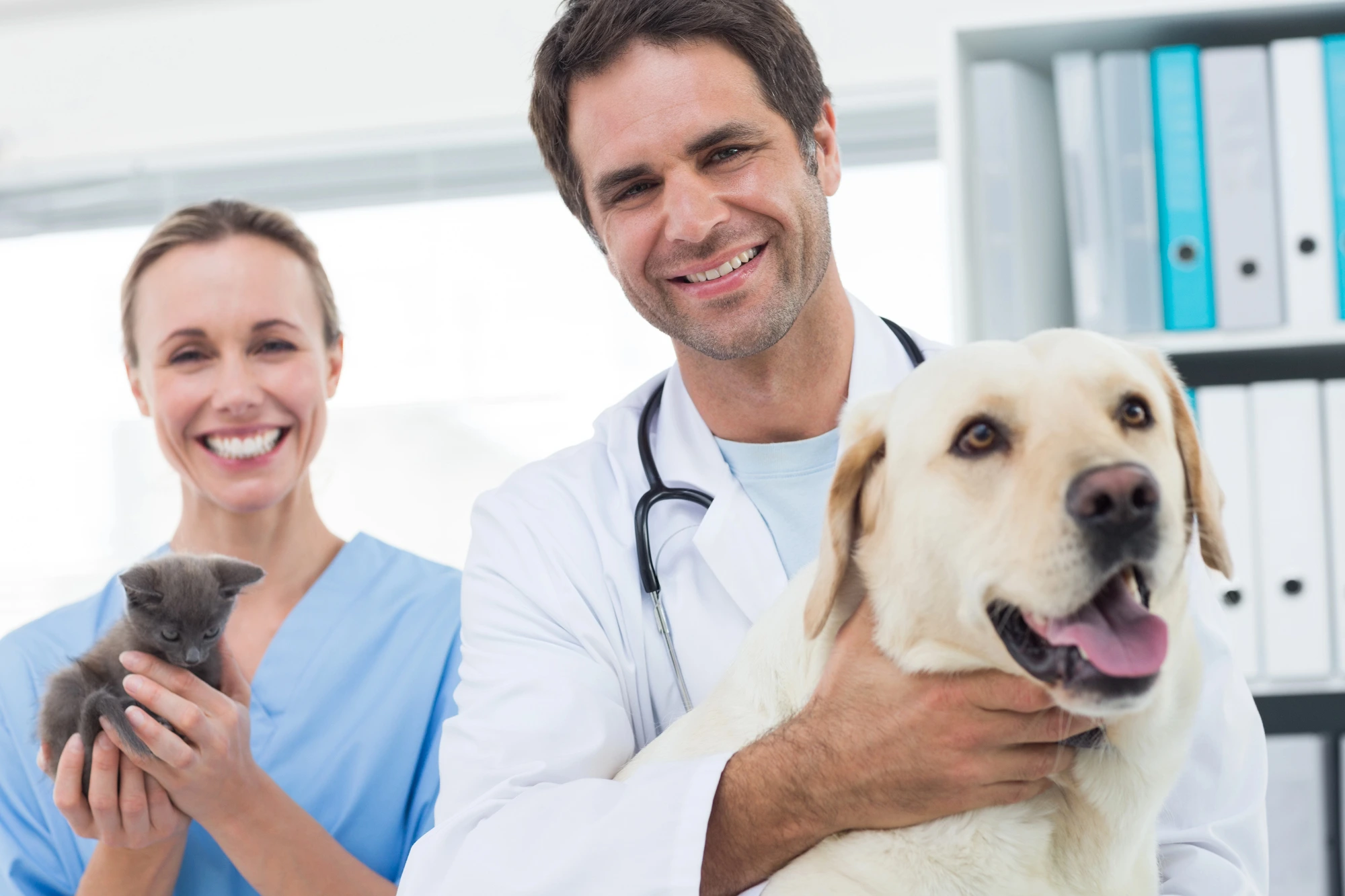 happy-vets-after-buying-a-veterinary-practice