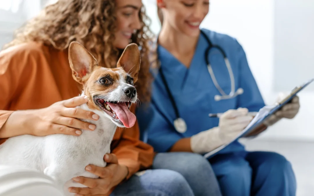 happy veterinarian veterinary staffing agency