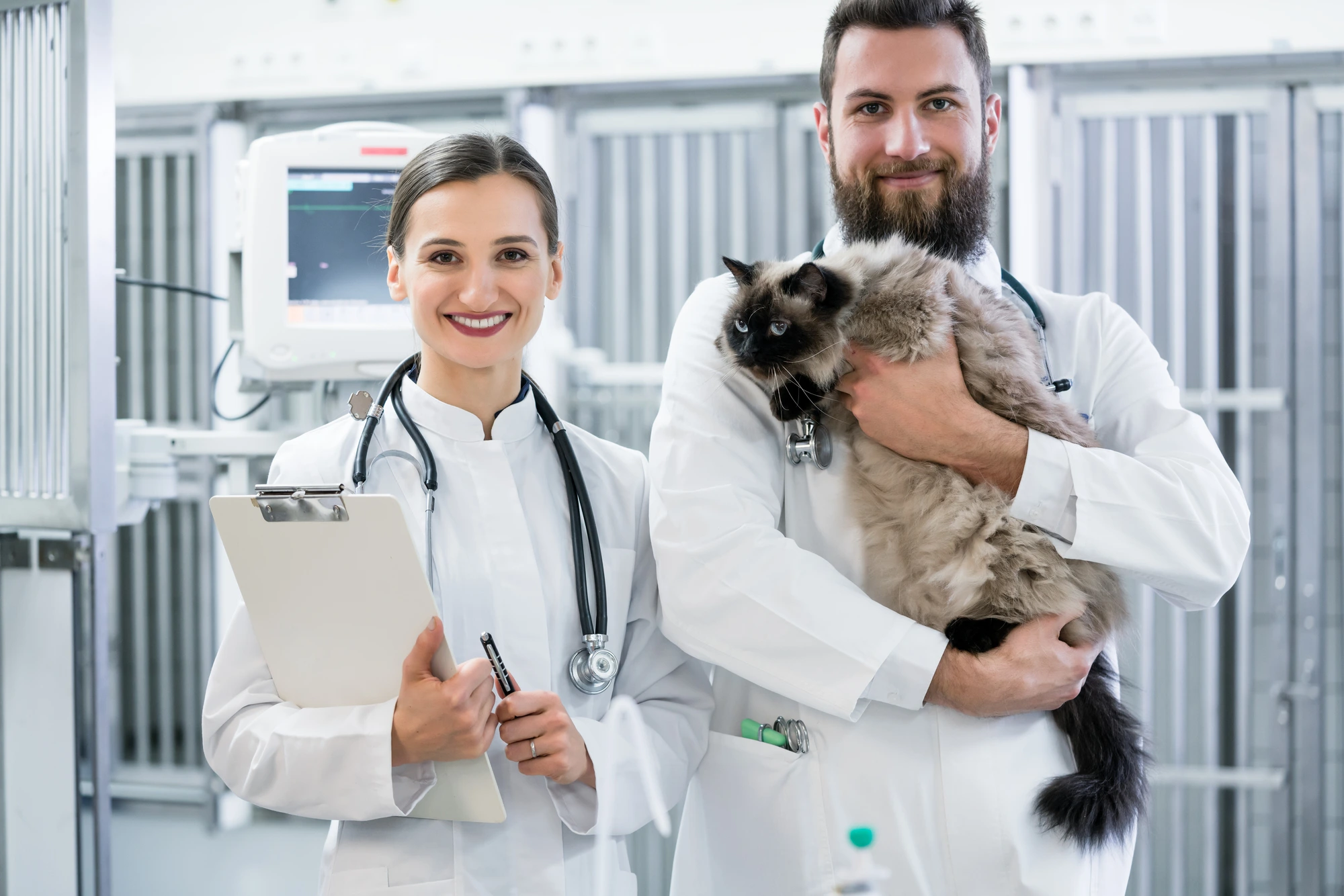 two vets that avoided veterinary burnout